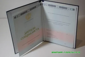 Купить диплом СТИ НИТУ «МИСиС» — Старооскольского технологического института (филиала) Национального исследовательского технологического университета в Нижнем Тагиле
